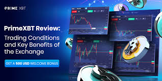 In-Depth Analysis of the PrimeXBT Trading Platform - PrimeXBT Trading Platform Review In-Depth Analysis of the PrimeXBT Trading Platform - PrimeXBT Trading Platform Review